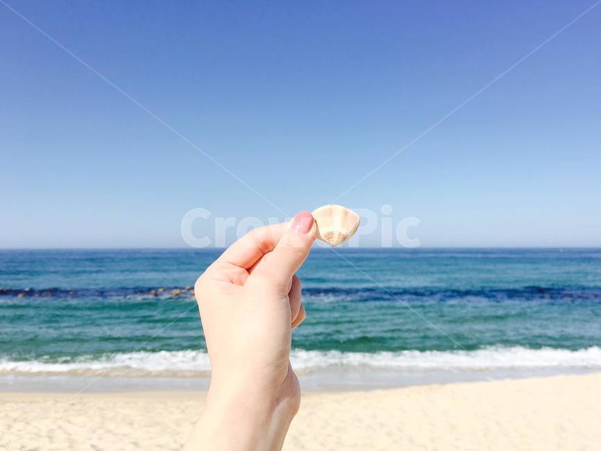 바다,조개,색감,파스텔,하늘,감성,가을바다,강릉,해변,해변,바다,beach,sea,사람,인물,인간,human,person,신체일부,몸,body