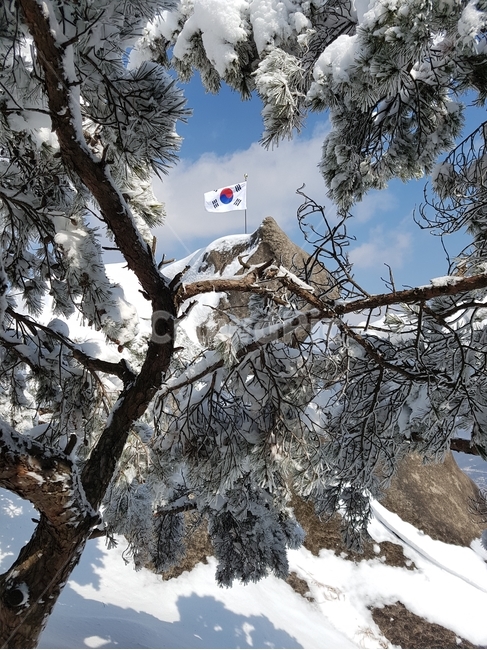 태극기,폭설,눈내린산,정상,눈