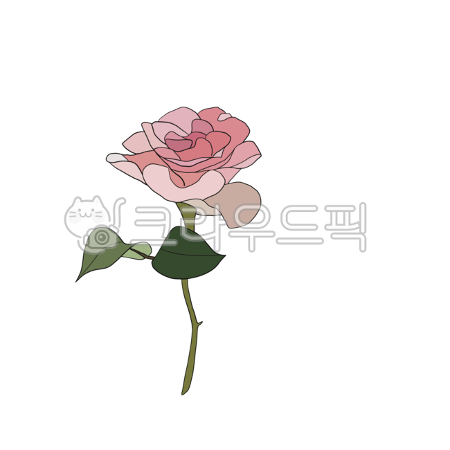 drawing, flower, 꽃, rose, 장미, 사진,이미지,일러스트,캘리그라피 - pinkpig7작가