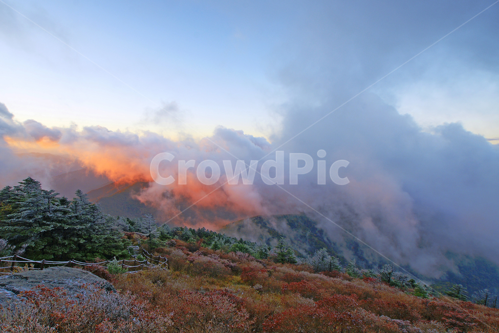 지리산,반야봉,일출,운해,단풍,자연,풍경,nature,landscape,outdoors,옥외
