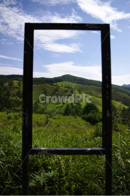 풍경,나무,산,식물,꽃밭,하늘,구름,액자,자연,풍경,nature,landscape,outdoors,옥외