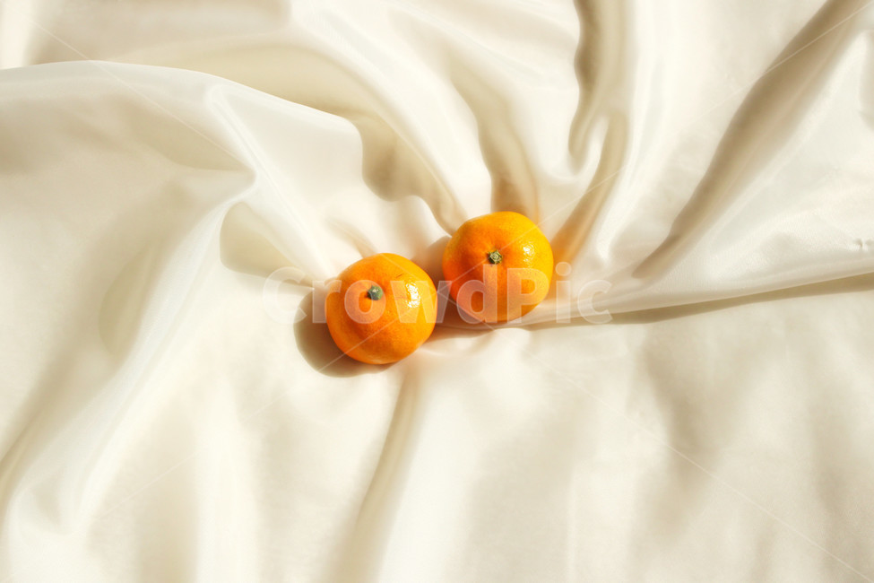 귤,과일,음식,식재료,컨셉,색감,주황,주황색,orange,요리,음식,식재료,요리,food,cook,meal,dishes,food reserves,과일,열매,fruit,색깔,색상,색채,색감,color sense,color sensitivity,feeling of color