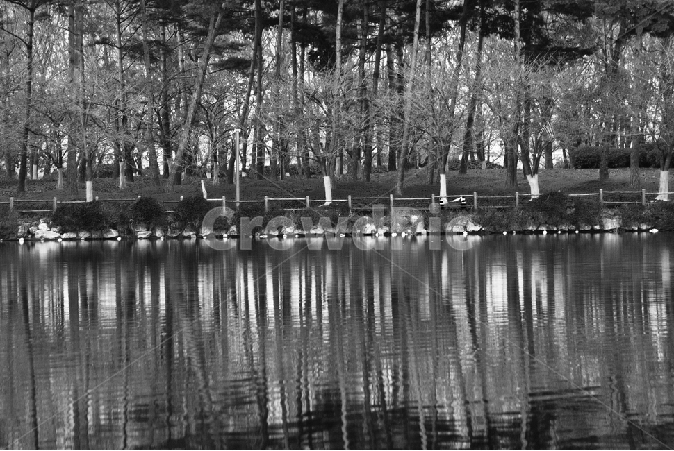 일산,호수공원,대칭,흑백,가을,water,물,nature,자연,outdoors,옥외