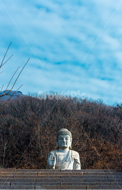미륵불,사찰,건축,문화유산,불교,계단,관광명소,한국전통,한국문화,korean traditional,korean culture,조각상,동상,석상,조형물,statue,bronze statue,stone statue,종교,신앙,religion,belief,faith