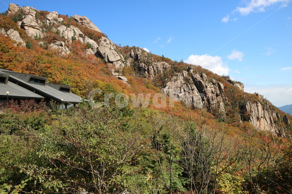 강원도,설악산,한계령,가을,풍경,가을,계절,fall,autumn,season,자연,풍경,nature,landscape,한국자연풍경,한국자연경관,korea nature landscape,outdoors,옥외