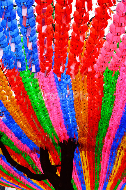 연등,불교,석가탄신일,초파일,부처님오신날,종교,사찰,석가모니,등불,조명,축제,야경,야간,화려한,찬란한,아름다운,뷰티풀,light,buddhism,festival,lotuslanternfestival,beautiful,seoul,buddhisttemple,temple,night,colorful,칼라풀,행사,절,기도,염원,한국전통,한국문화,korean traditional,korean culture,종교,신앙,religion,belief,faith,축제,행사,festival,carnival,event,기념일,축하,anniversary,congratulation,celebrate,celebration