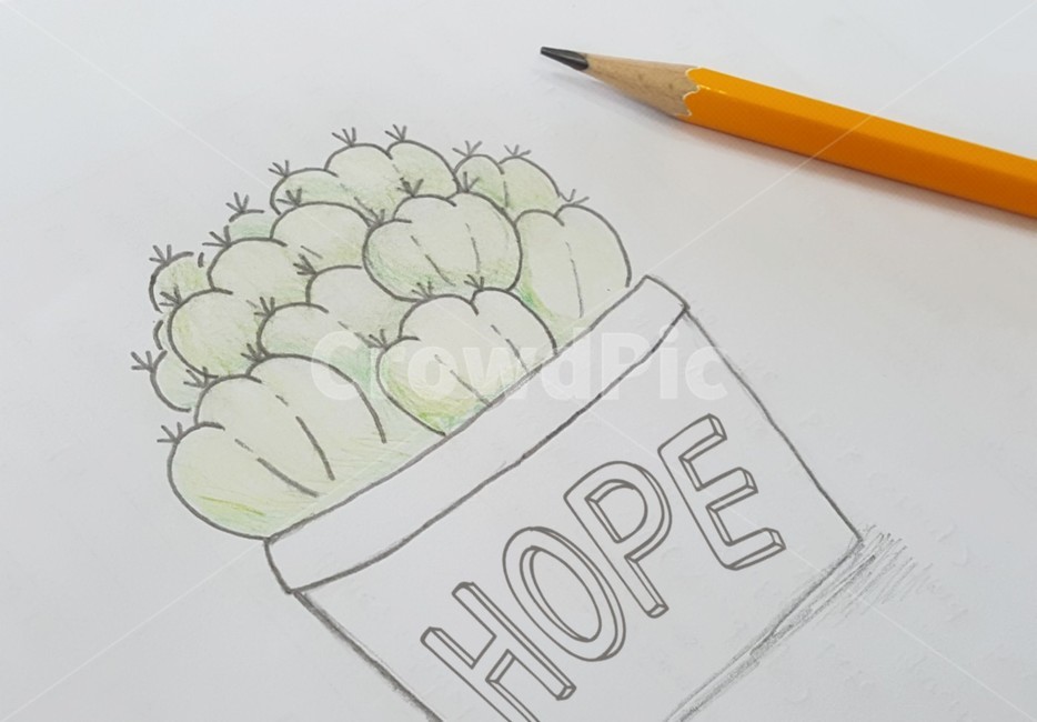 선인장,선인장일러스트,연필,그림,선인장그림,hope