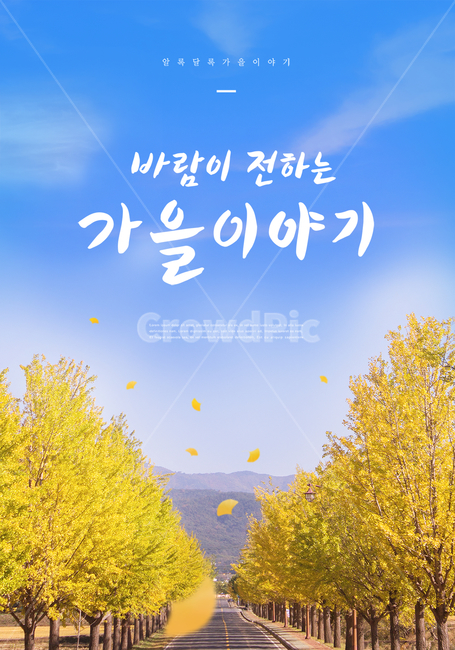 가을,감성,캘리,은행나무,하늘,은행잎,배경,풍경,캘리그래피,손글씨,한글,문구,글귀,타이틀,엽서,붓글씨,캘리그라피,가을,계절,fall,autumn,season,캘리그라피,손글씨,calligraphy