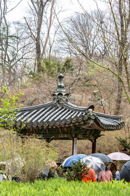 창덕궁,창덕궁후원,기와,전통기와,기와지붕,고궁,궁궐,정자,봄,사람,인간,한국전통,한국문화,korean traditional,korean culture,건축물,건물외관,exterior,building,structure,architecture,construction