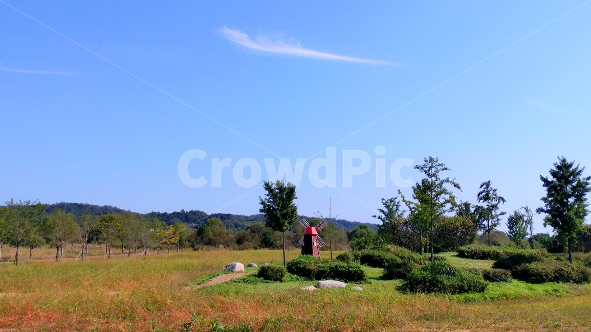 outdoors,옥외,field,들,grassland,목초지,plant,식물,tree,나무,하늘,자연,nature