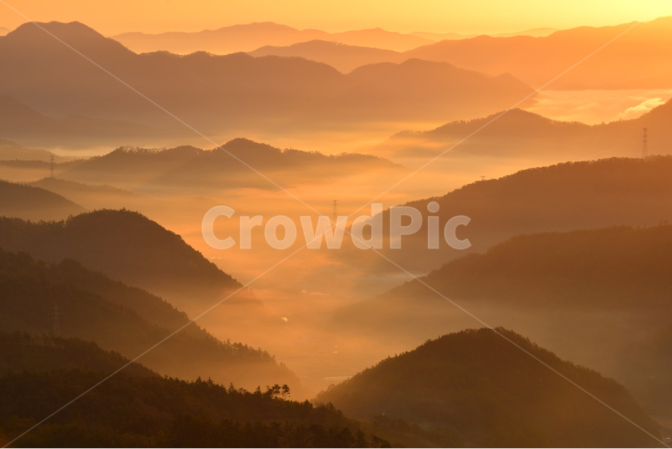 영암,서광목장,활성산,일출,여명,아침,해돋이,억새,nature,자연,outdoors,옥외,mountain,산,운해,mountainrange,산맥,plant,식물,grass,잔디,slope,경사,자연,풍경,nature,landscape,한국자연풍경,한국자연경관,korea nature landscape