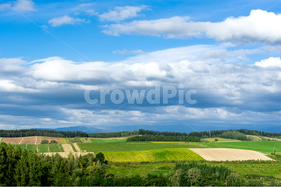 언덕,구름,밭,하늘,풍경,시골,자연,비에이,자연,풍경,nature,landscape,시골,마을,country,rural,town,해외,외국,세계,foreign,oversea,world,세계자연풍경,해외자연풍경,외국자연풍경,world nature landscape,outdoors,옥외,field,들,grassland,목초지