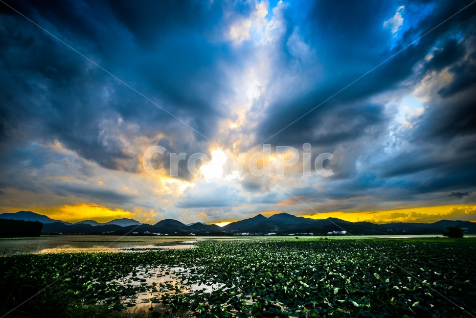 주남저수지,해질녘,연꽃,하늘,구름,reservoir,sunset,풍경,landscape,sky,cloud,자연,풍경,nature,landscape,한국자연풍경,한국자연경관,korea nature landscape,outdoors,옥외