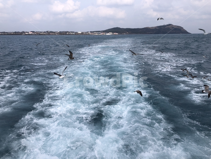 제주도바다,우도바다,스크류거품,파도,갈매기,우도,물거품,배지나간자리,제주도,바다,흐린바다,흐린날바다,자연,풍경,nature,landscape,ocean,대양,water,물,sea,outdoors,옥외