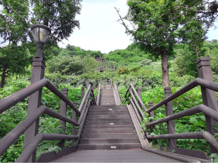 노을공원,계단,여름,자연풍경,숲,인내,운동,자연,풍경,nature,landscape,banister,난간,handrail,railing,garden,정원,outdoors,옥외,arbour,정자