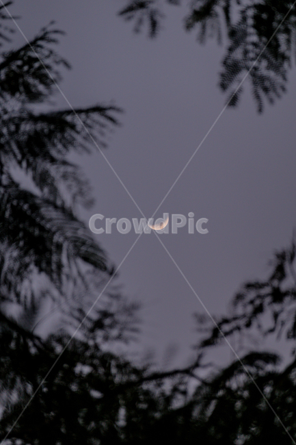 달,해질녘,자연,moon,nature,풍경,옥외,outdoors