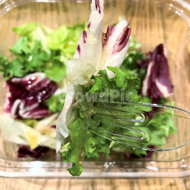 샐러드,야채,상추,로컬푸드,건강식,식물성,건강,맛,healthy,음식,신선,이파리,채식주의,오가닉,영양,끼니