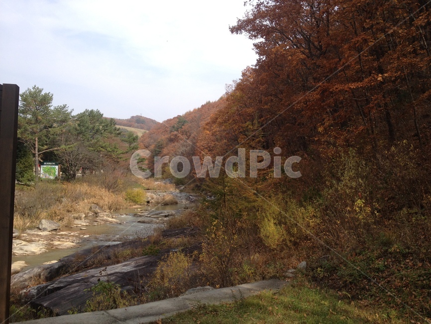 풍경,가을풍경,자연,nature,나무