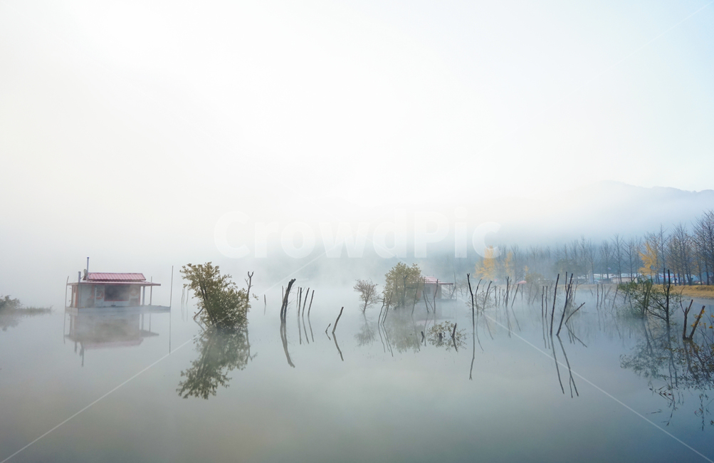 호수,방갈로,낚시,낚시터,여명,안개,가을,계절,새벽,자연,풍경,nature,landscape,한국자연풍경,한국자연경관,korea nature landscape,weather,날씨,outdoors,옥외