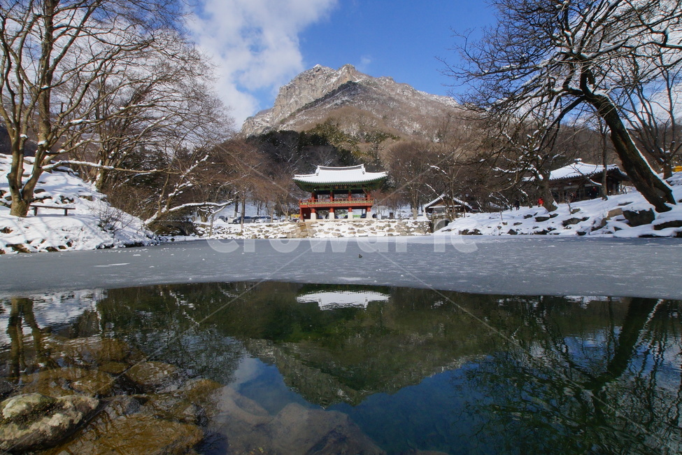 내장산,백양사,쌍계루,설경,국립공원,겨울,계절,winter,season,자연,풍경,nature,landscape,한국자연풍경,한국자연경관,korea nature landscape,outdoors,옥외