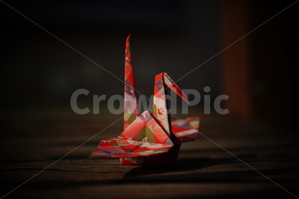 thought,paper crane,objects,origami,hope,wish,healing,Healing Photos,Peacock,crush,bird,still,bench,tree,feeling,longing,crafts,daily,animal,autumn,object,love,Bench,September,mood,enjoy,miss,Miss you,paper,Emotion,quiet,rest,confetti,chair,Birds,Emotiona