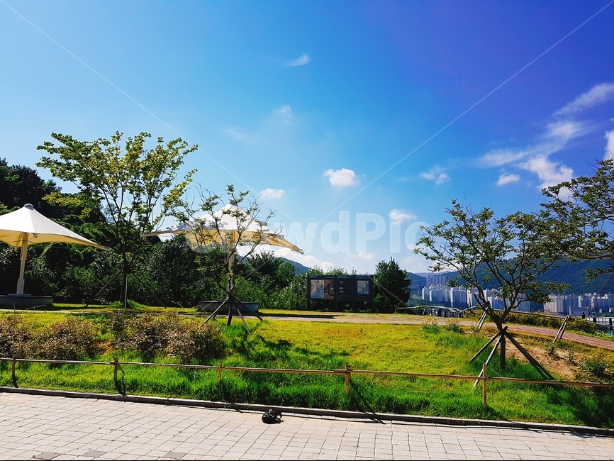 여수,낮,바다,맑음,여름,자연,풍경,nature,landscape,도시,city,grass,잔디,plant,식물