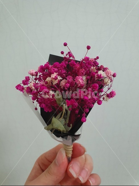 꽃,flower,드라이플라워,dryflower,부케,식물,plant,꽃꽂이,flowerarrangement,blossom,봄
