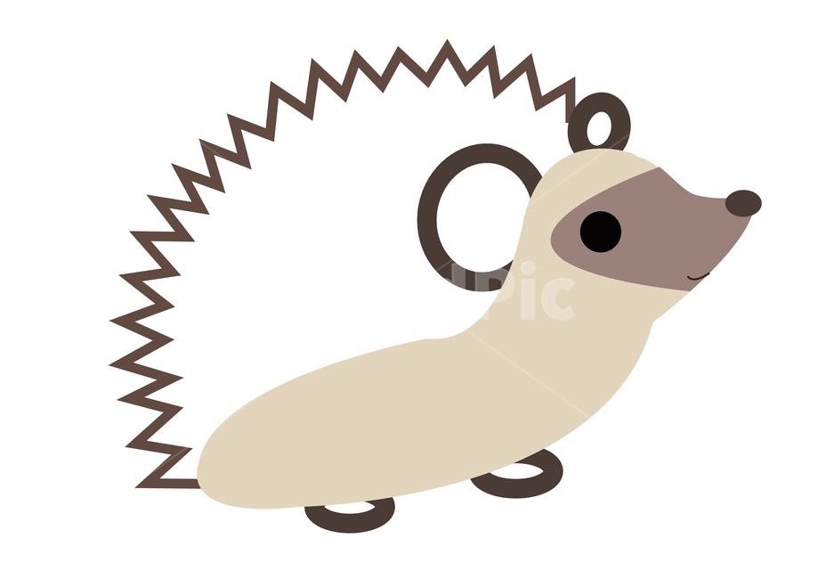 고슴도치,hedgehog,동물,일러스트,illustration,선,line,animal,그래픽,일러스트레이션,graphic,illustration