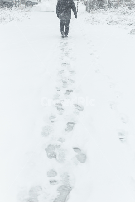 사람,발자국,눈,겨울,눈보라,person,겨울,계절,winter,season