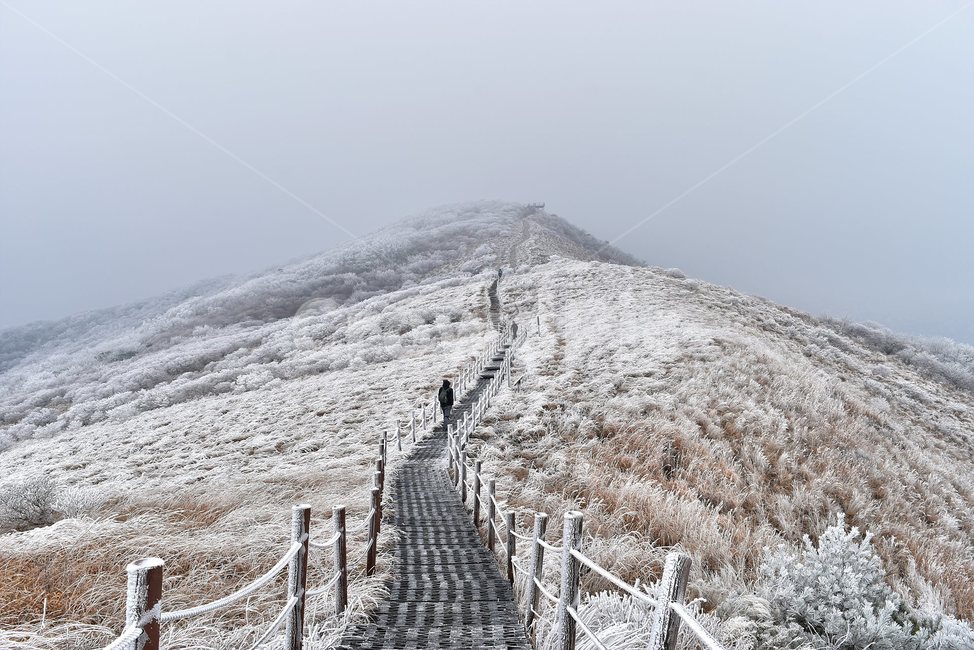소백산,눈꽃풍경,상고대,겨울풍경,국립공원,겨울동화,힐링,감성,아름다움,뷰티풀,설국,눈풍경,100대명산,겨울명산,설경,서리꽃,snow,landscape,눈,화이트,자연,신비로운,경이로운,천상,비경,치유,산,명산,자연풍경,늦가을,겨울,계절,winter,season,자연,풍경,nature,landscape,한국자연풍경,한국자연경관,korea nature landscape,handrail,난간,banister