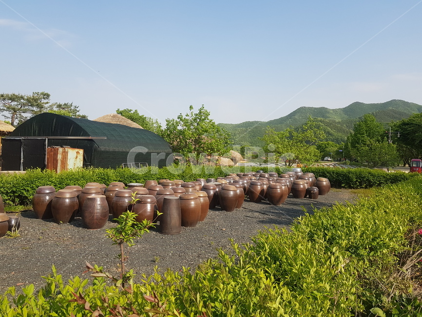 안동,하회마을,장독대,시골,한국문화,산,자연,한국전통,항아리,pottery,jar,koreantraditional,koreanculture,nature,시골,마을,풍경,landscape,country,rural,town