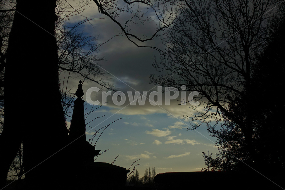 silhouette,실루엣,nature,자연,treetrunk,나무줄기,영국,풍경,하늘,sky,england,unitedkingdom,british