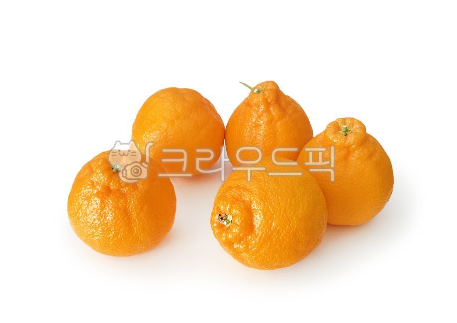 한라봉,제주도한라봉,제주한라봉,제주감귤,감귤,제주도,제주,과일,달콤한과일,jeju,fruit,tangerine