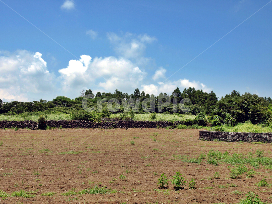 돌담,밭,올레3코스,올레,제주,서귀포,자연,푸른하늘,흰구름,자연,풍경,nature,landscape,outdoors,옥외,field,들,weather,날씨,land,땅,grassland,목초지