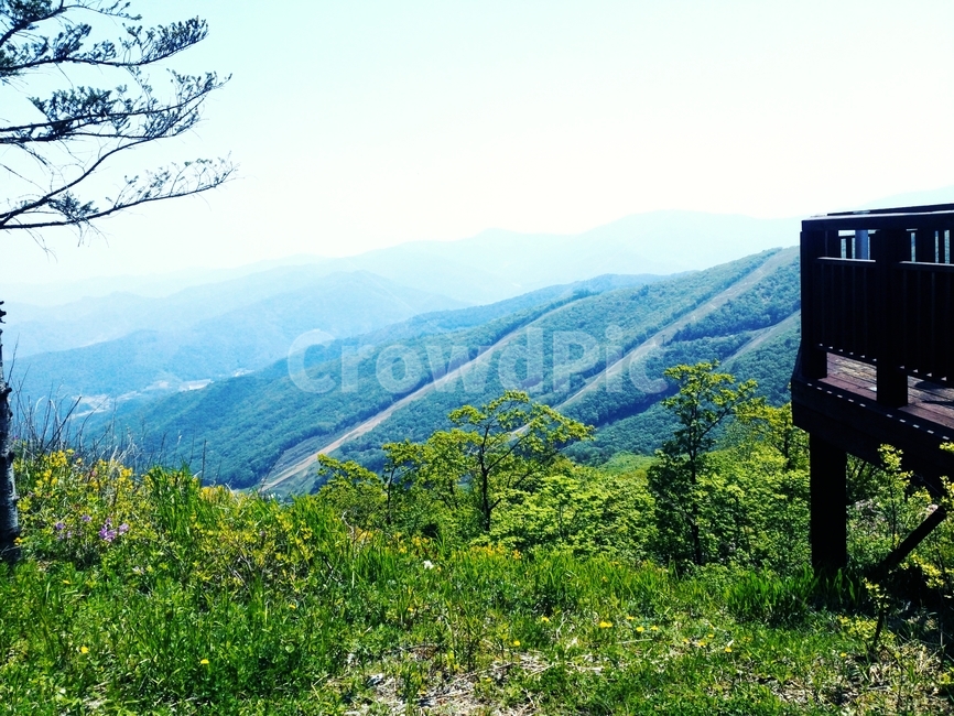 자연,nature,산,mountain,나무,언덕,자연,풍경,nature,landscape