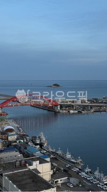 다리,속초,바다,겨울,배