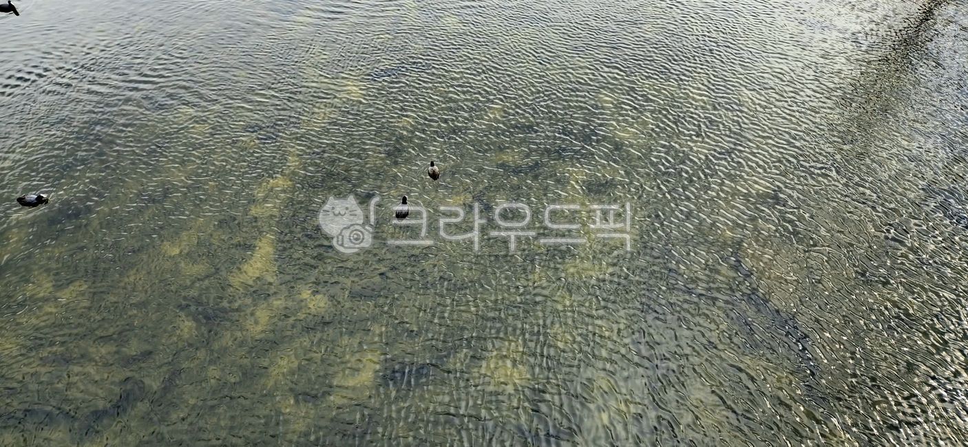 nature, 자연, outdoors, 옥외, ripple, 사진,이미지,일러스트,캘리그라피 - windes85작가