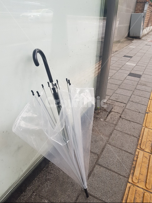 날씨,비,우산,빗방울,투명우산,비닐우산