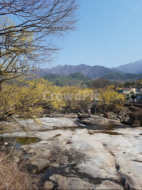 구례,여행,산동마을,산수유축제,봄여행,봄,계절,spring,season
