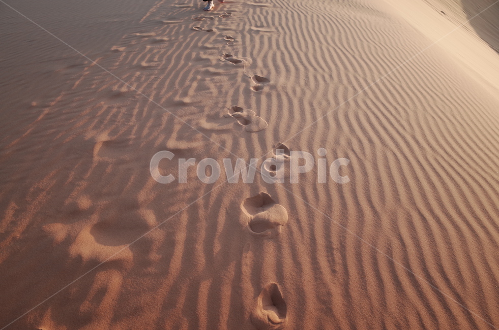 사막,desert,사하라사막,saharadesert,그림자,shadow,일몰,선셋,sunset,붉은색,red,nature,자연,outdoors,옥외,sand,모래,dune,모래언덕,sunlight,빛,발자국,footprints,자연,풍경,nature,landscape