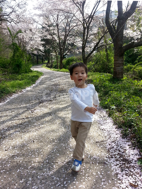 벚꽃길,소년,어린이,꽃,꽃길,산책,사람,인물,인간,human,person,어린이,어린아이,child,children,kid