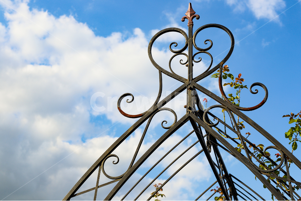 철조물,구조물,빈티지,철제구조물,무쇠,쇠,낡은,녹슨,오래된,철,철제,조형물,장식물,하늘,구름,식물,맑은,파란,파란하늘,바람,담쟁이,덩쿨,꽃,평화로운,차분한,배경,계절,풍경,windy,야외,wind,bluesky,blue,white,clear,cloud,rusty,rust,old,vintage,architecture,decoration,iron,metal,stainless,sky,structure,sunnysky,ivy,park,land,flower,shape,outdoor,plant,landscape,view,scene,scenery,beautiful,constructon,peacefull