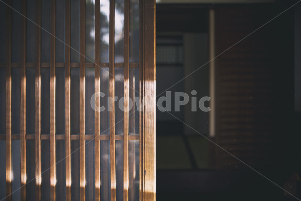 한국,정란각,아날로그,필름,부산,일식가옥,korea,analog,film,busan,japan,일본,감성,sensible,feeling,인테리어,실내디자인,interior design