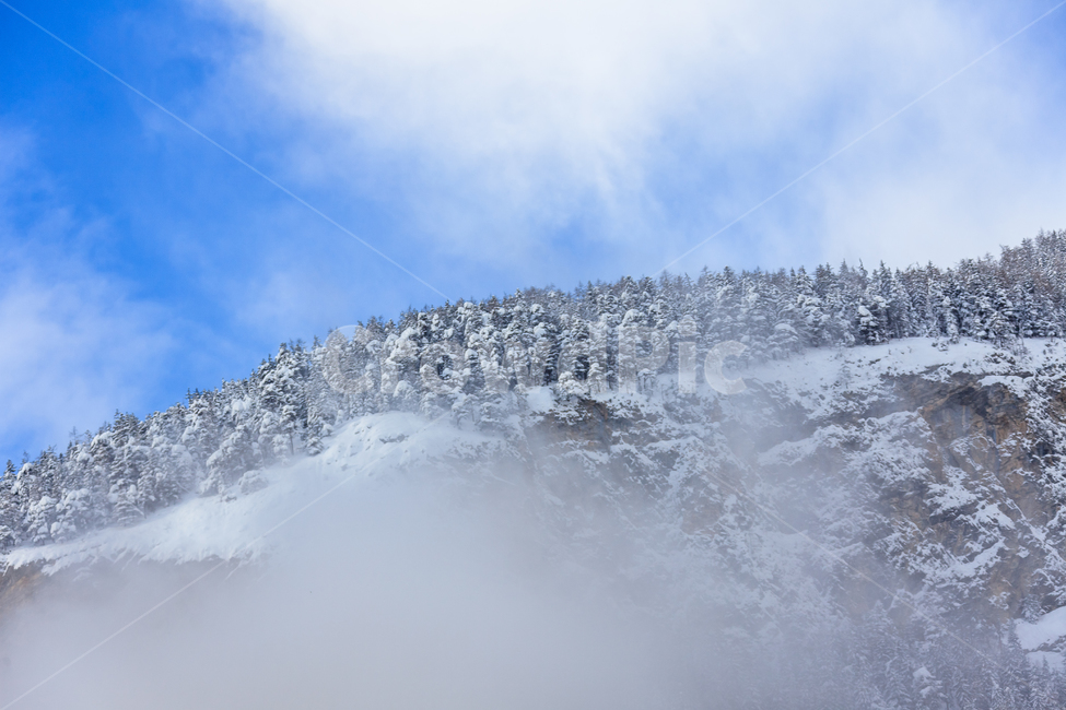 알프스산맥,스위스,겨울,눈,산,숲,구름,나무,겨울,계절,winter,season,자연,풍경,nature,landscape,해외,외국,세계,foreign,oversea,world,세계자연풍경,해외자연풍경,외국자연풍경,world nature landscape,outdoors,옥외,mountain