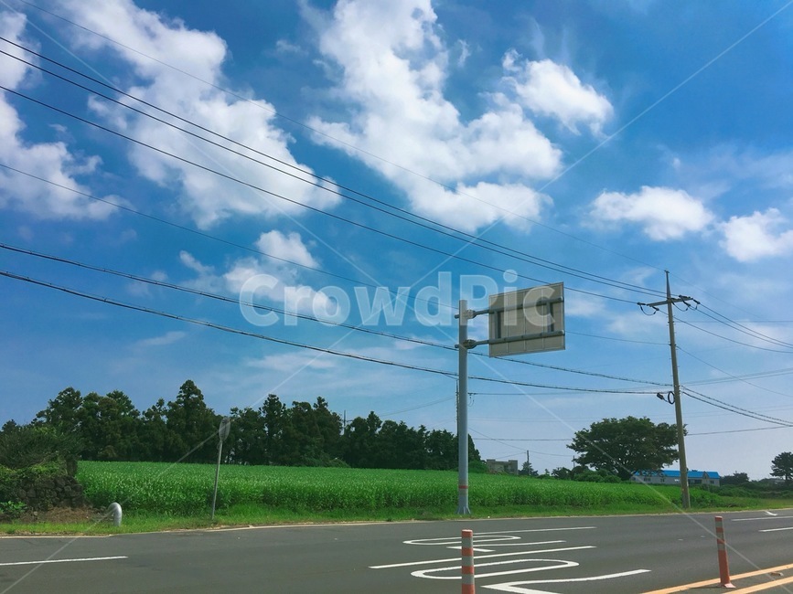 제주도,jeju,jejuisland,landscape,자연,풍경,도로,road,하늘,sky,blue