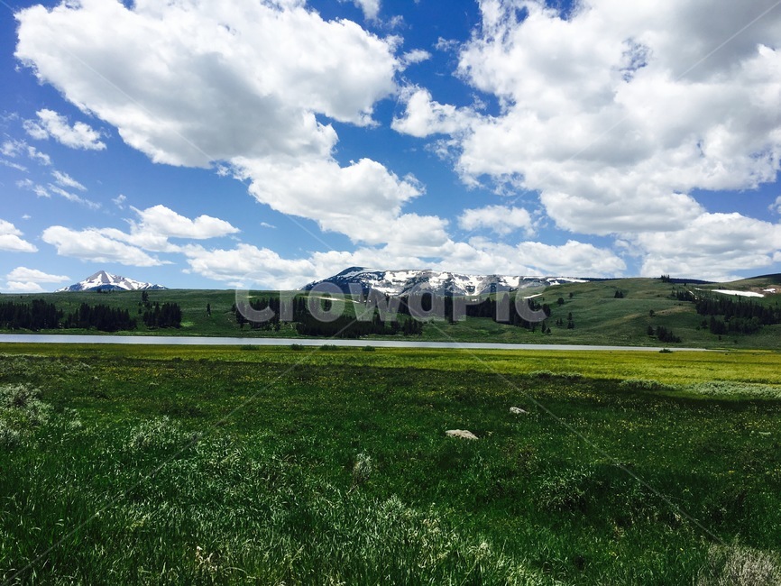 nature,자연,outdoors,field,들,grassland,목초지,sky,cloud,green,평화,peace,자연,풍경,nature,landscape,옥외