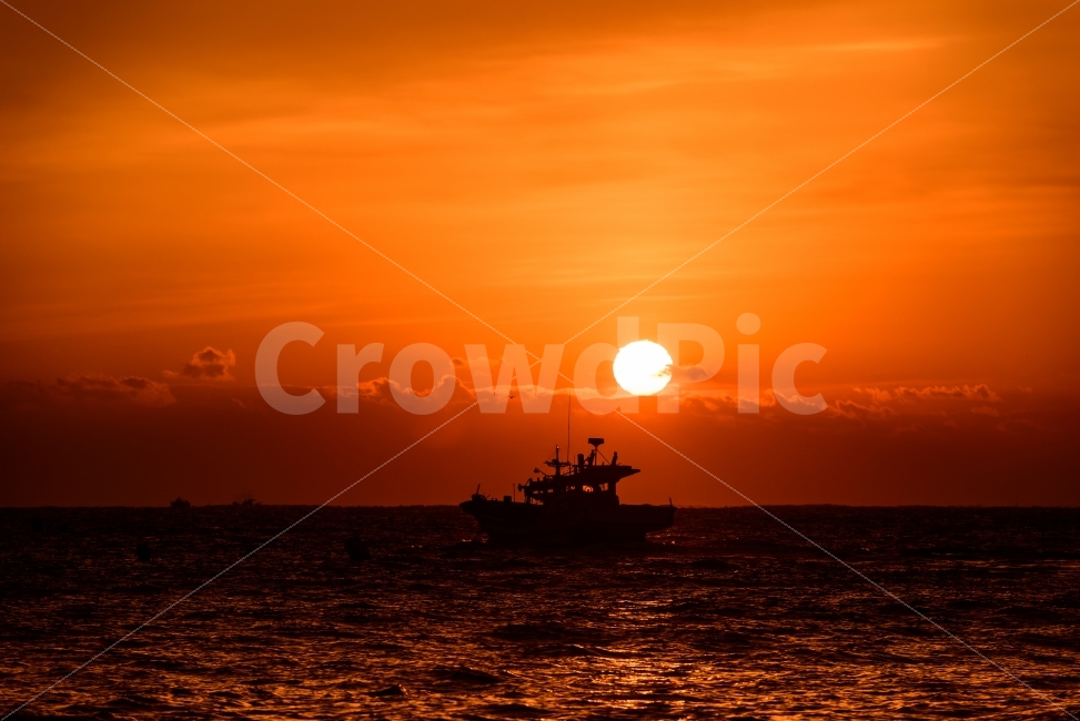 어선,일출,풍경,출항,강양항,자연,풍경,nature,landscape,실루엣,그림자,silhouette,shadow,산업,industry,industrial,어업,fishery,fishing industry,교통,교통수단,traffic,transportation,vehicle,차량,boat,보트,sunlight,햇빛