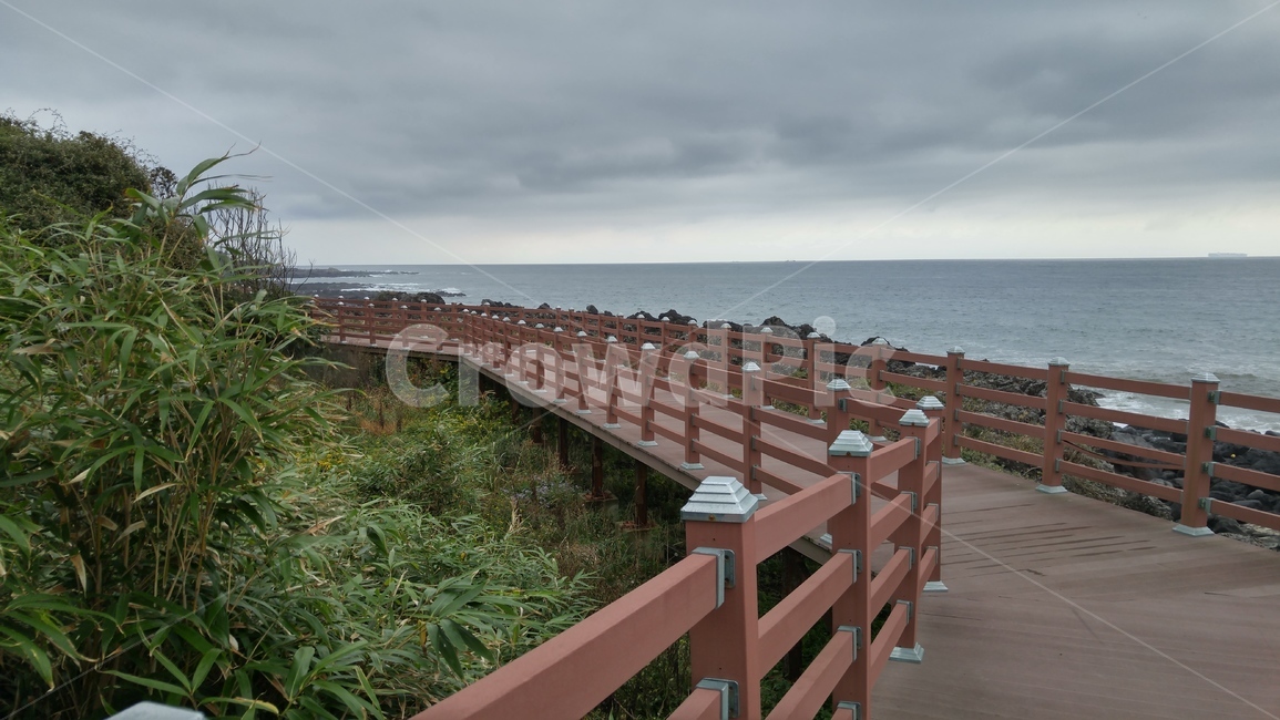 제주,제주도,해안,바다,바닷가,파도,풀,풀숲,grass,plant,잔디,식물,길,바닷길,바다길,자연,풍경,nature,landscape