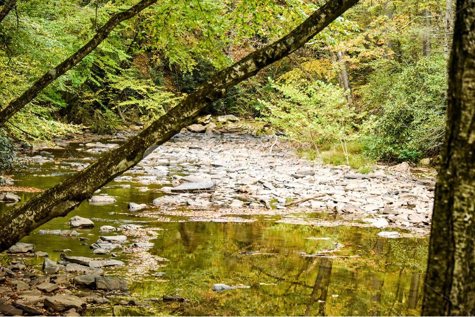 creek,물,자연,평온,야외,자연,풍경,nature,landscape