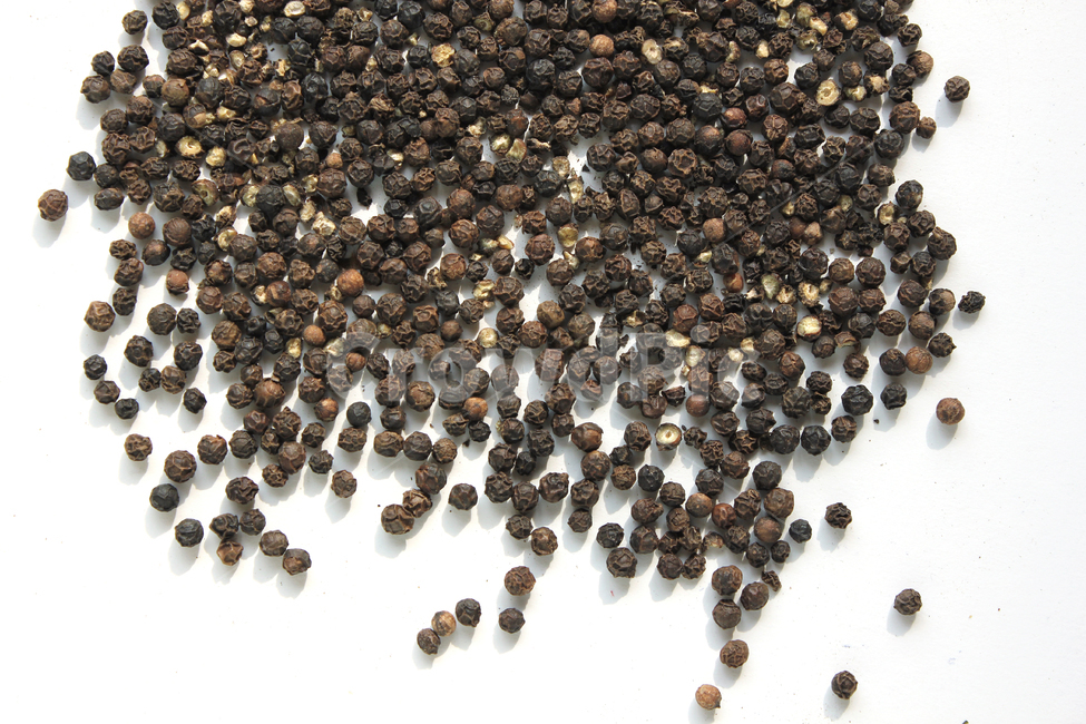 black,brown,cooking,dry,food,glass,gourmet,pepper,peppercorn,seeds,spice,spicy,white,검은색,검정,갈색,브라운,요리,음식재료,음식,후추,후추가루,향신료,매운,식재료,탑앵글,탑뷰,음식,식재료,요리,food,cook,meal,dishes,food reserves,콩류,견과류,beans,pulse,nuts,dry fruits,누끼,remove background